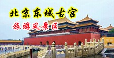 黄色视频免费观看吃咪咪中国北京-东城古宫旅游风景区
